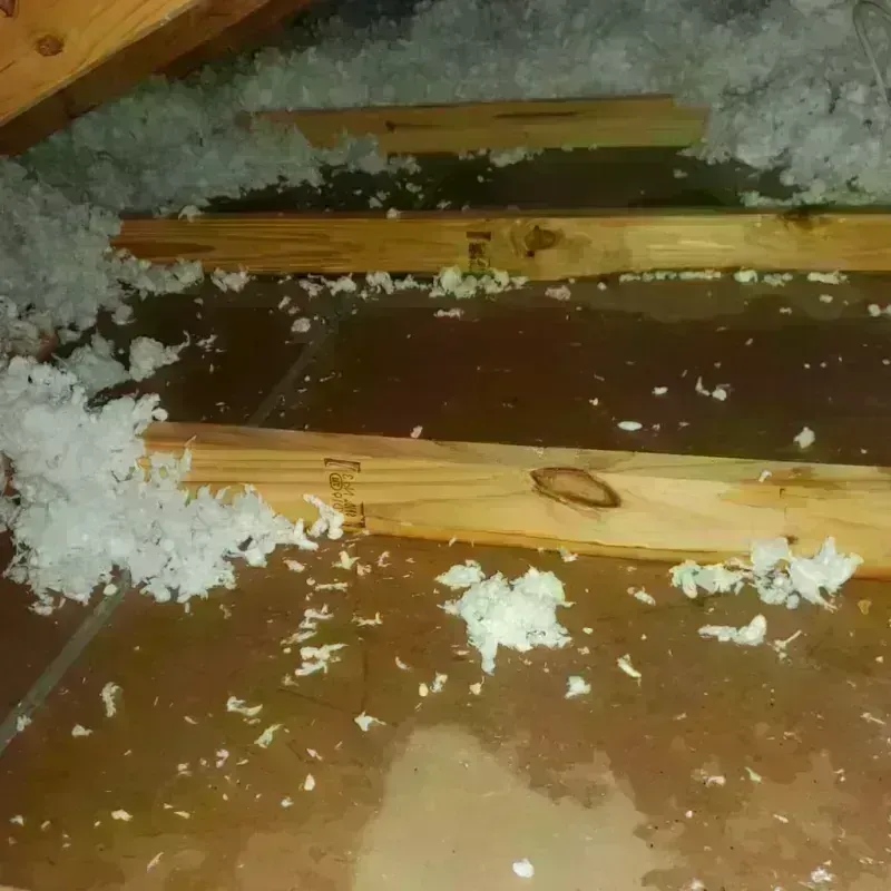 Attic Water Damage in Edna, TX