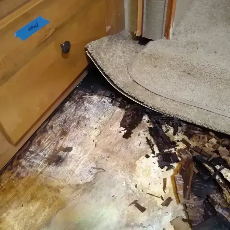 Wood Floor Water Damage in Edna, TX